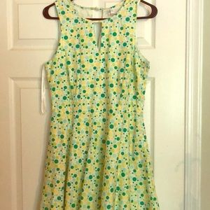 Charming Charlie Dress